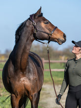 Load image into Gallery viewer, PS Leather Halter