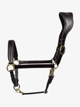 Load image into Gallery viewer, PS Leather Halter