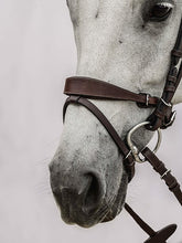 Load image into Gallery viewer, PS Bridles, HVE - Brown