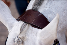 Load image into Gallery viewer, PS Bridles, HVE - Brown