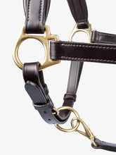 Load image into Gallery viewer, PS Leather Halter

