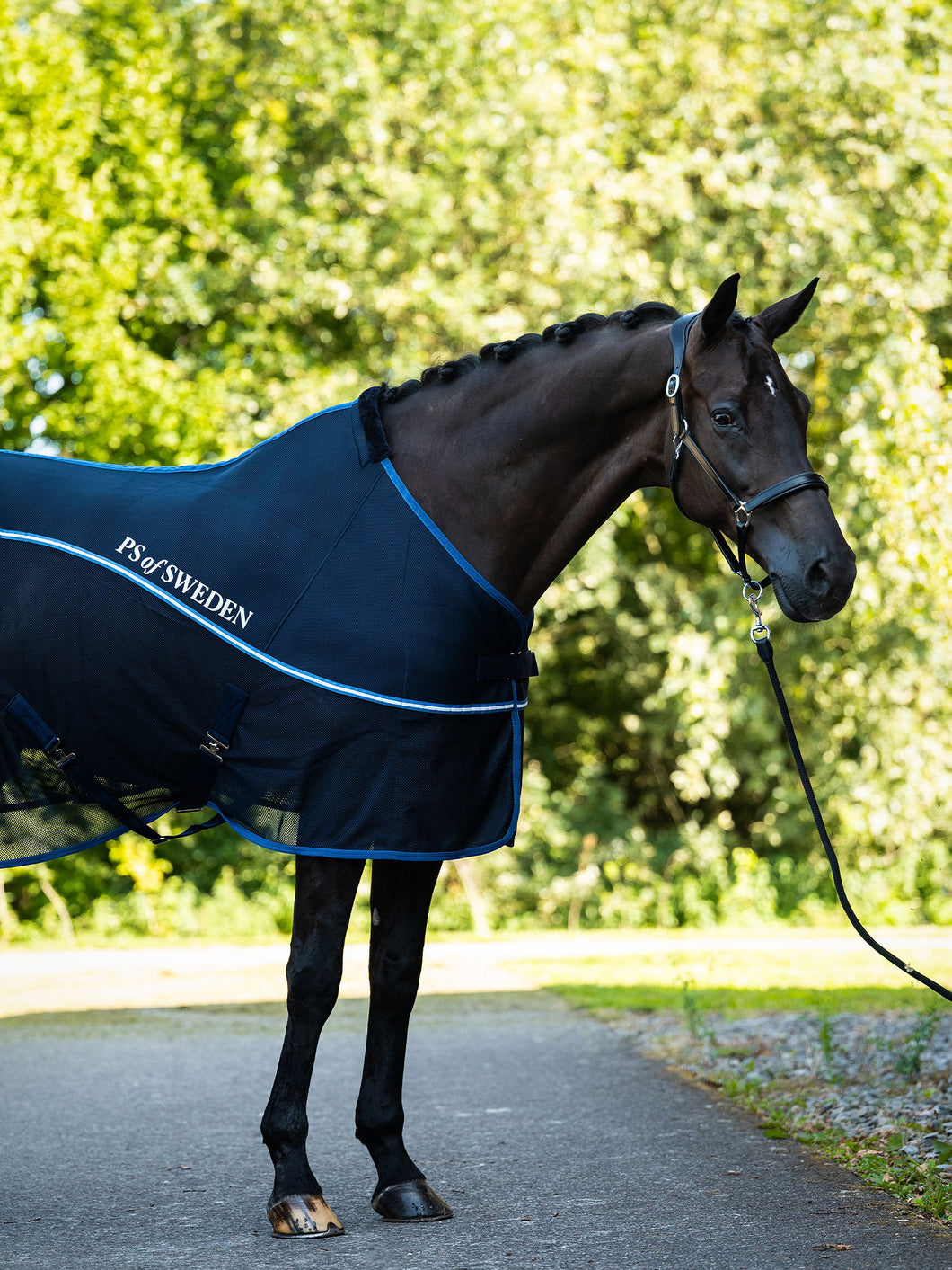 PS Cooling Rug
