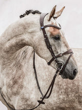 Load image into Gallery viewer, PS Bridles, HVE - Brown
