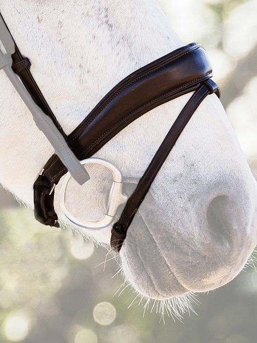 PS Noseband, Flying Change