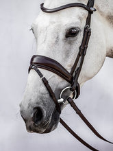 Load image into Gallery viewer, PS Noseband, Flying Change
