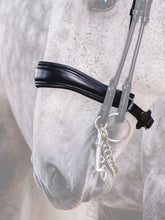 Load image into Gallery viewer, Nosebands, Passage
