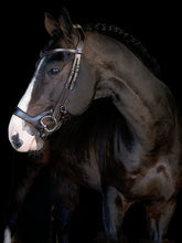 Load image into Gallery viewer, Nosebands, Pioneer

