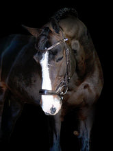 Load image into Gallery viewer, Nosebands, Pioneer
