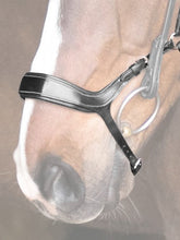 Load image into Gallery viewer, Nosebands, Pioneer

