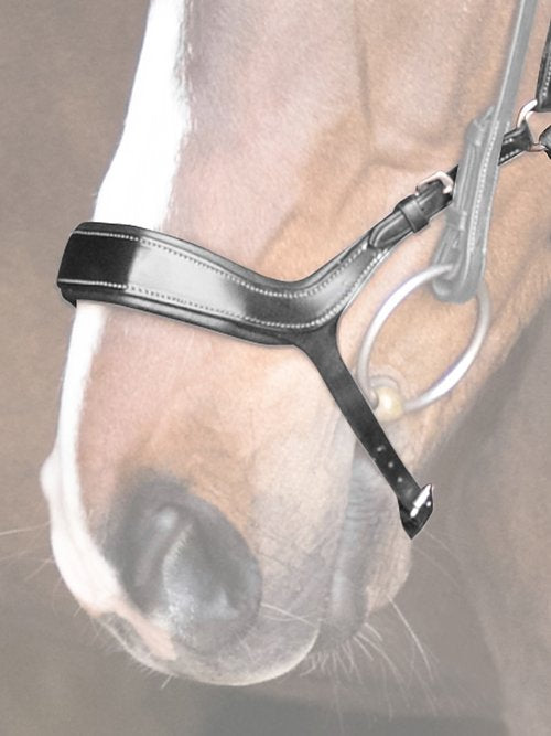 Nosebands, Pioneer