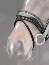 Load image into Gallery viewer, PS Noseband, Flying Change Deluxe
