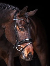 Load image into Gallery viewer, PS Noseband, Flying Change Deluxe
