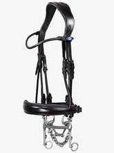 Load image into Gallery viewer, Bridles, Passage &amp; Passage Patent
