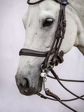 Load image into Gallery viewer, Bridles, Paragon
