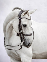 Load image into Gallery viewer, Bridles, Paragon
