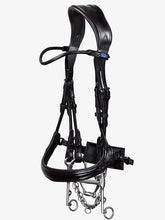 Load image into Gallery viewer, Bridles, Paragon

