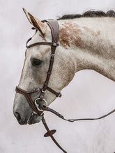 Load image into Gallery viewer, Bridles, Nirak
