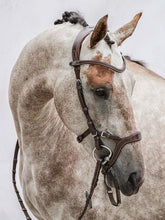 Load image into Gallery viewer, Bridles, Nirak
