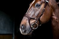 Load image into Gallery viewer, Bridles, Nirak
