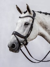 Load image into Gallery viewer, PS Noseband, Paladin
