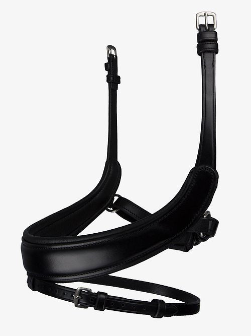 PS Noseband, Paladin