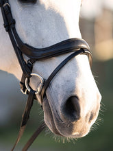 Load image into Gallery viewer, PS Noseband, Paladin
