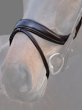 Load image into Gallery viewer, PS Noseband, Paladin
