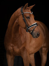 Load image into Gallery viewer, PS Noseband, GP Black
