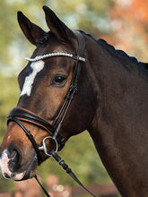 Load image into Gallery viewer, PS Noseband, GP Black
