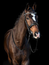 Load image into Gallery viewer, PS Noseband, GP Black Patent
