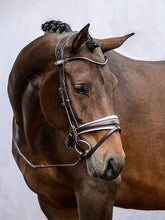 Load image into Gallery viewer, Bridles, GP &amp; GP Patent
