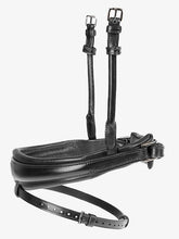 Load image into Gallery viewer, Bridles, GP &amp; GP Patent
