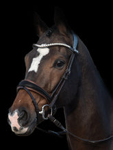 Load image into Gallery viewer, Bridles, GP &amp; GP Patent
