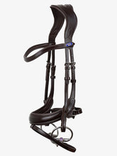 Load image into Gallery viewer, Bridles, Paladin
