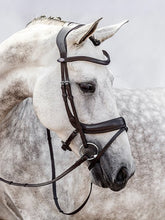 Load image into Gallery viewer, Bridles, Paladin

