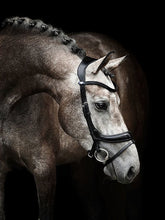 Load image into Gallery viewer, Bridles, Paladin
