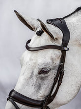 Load image into Gallery viewer, Bridles, Paladin
