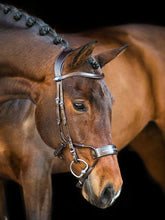 Load image into Gallery viewer, Bridles, High Jump

