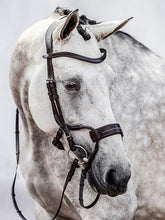 Load image into Gallery viewer, Bridles, High Jump

