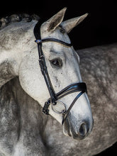 Load image into Gallery viewer, Bridles, Flying Change
