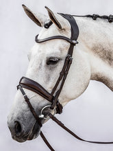 Load image into Gallery viewer, Bridles, Flying Change
