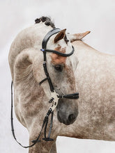Load image into Gallery viewer, Bridles, Hackamore
