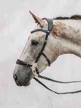 Load image into Gallery viewer, Bridles, Hackamore
