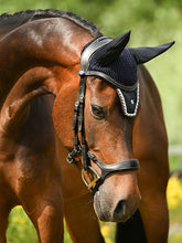 Load image into Gallery viewer, Bridles, Pioneer
