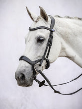 Load image into Gallery viewer, Bridles, Pioneer
