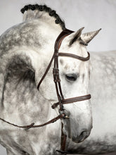 Load image into Gallery viewer, Hunter Bridle, Ocala
