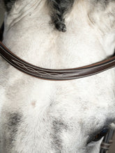 Load image into Gallery viewer, Hunter Bridle, Ocala

