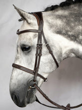 Load image into Gallery viewer, Hunter Bridle, Ocala
