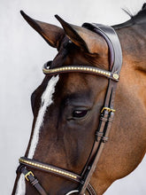 Load image into Gallery viewer, Limited Bridles - Antwerp
