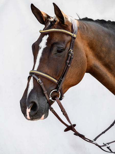 PS Limited Bridle - Antwerp